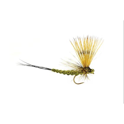 Maifliege Mohican May barbless #12 olive