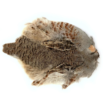 Flyscene Europäisches Rebhuhn (Partridge) Kompletthaut