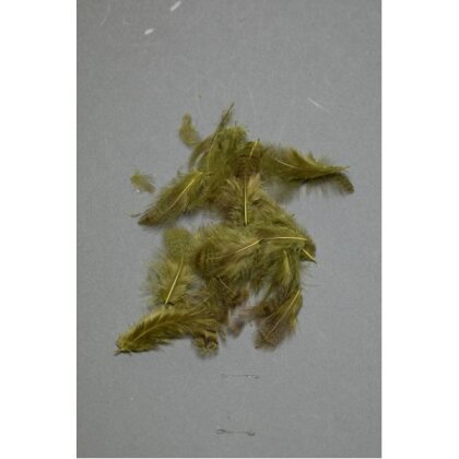 Fly Scene Partridge Hackle Oliv