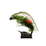 UV Shrimp light Green