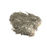 Whiting ROOSTER SOFT-HACKLE/CHICKABOU