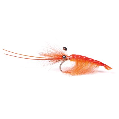 Guideline Orange CDC Shrimp #6