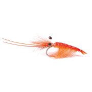 Guideline Orange CDC Shrimp #6