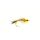 Gold Ribbed Hares Ear Nymphe Gr.14 beige
