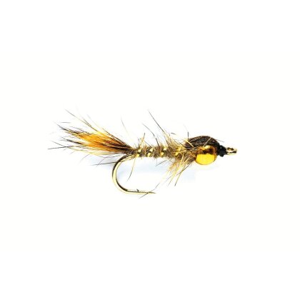 Gold Ribbed Hares Ear Nymphe Gr.12 beige