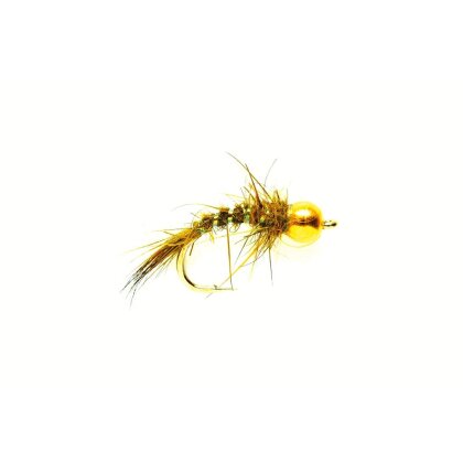 Gold Ribbed Hares Ear Nymphe Oliv