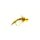 Gold Ribbed Hares Ear Nymphe Oliv