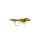 Gold Ribbed Hares Ear Nymphe Gr.12 Oliv