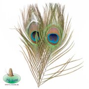 Fly Scence Peackock Eyes 2