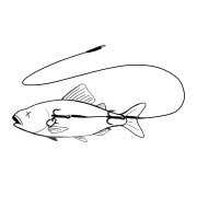 Zeck DB Twin Treble Rig