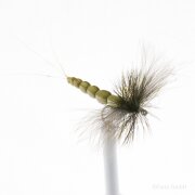 Maifliege CDC Dun Gr. 12