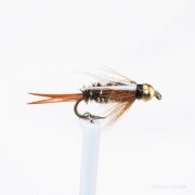 Prince Goldkopfnymphe Gr. 18