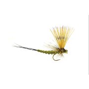 Maifliege Mohican May barbless #10 olive
