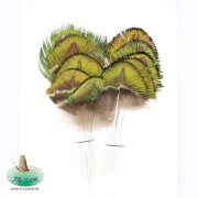 Peacock Selected Neck Feathers Gold