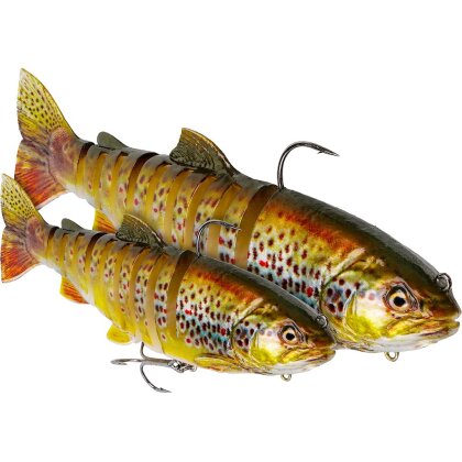 Westin Tommy the Trout Multi Jointeted R2F