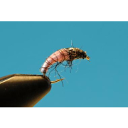 Pale Pink Larva #10