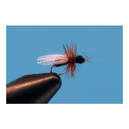 CDC Flying Ant Black #18